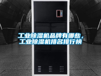 常見問題工業除濕機品牌有哪些，工業除濕機排名排行榜
