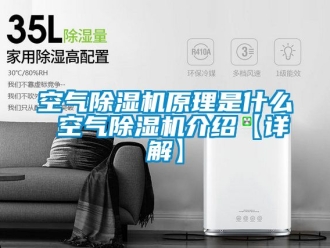 行業(yè)新聞空氣除濕機(jī)原理是什么 空氣除濕機(jī)介紹【詳解】