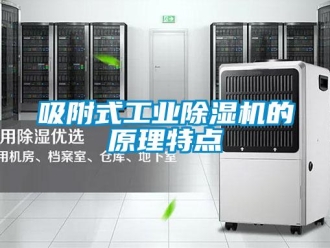 知識百科吸附式工業除濕機的原理特點