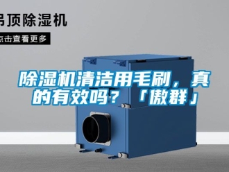 行業(yè)新聞除濕機(jī)清潔用毛刷，真的有效嗎？「傲群」