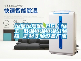知識(shí)百科恒溫恒濕箱 HG／恒工 低溫恒溫恒濕試驗(yàn)箱 定制實(shí)驗(yàn)設(shè)備廠(chǎng)家