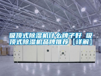 企業新聞吸頂式除濕機什么牌子好 吸頂式除濕機品牌推薦【詳解】