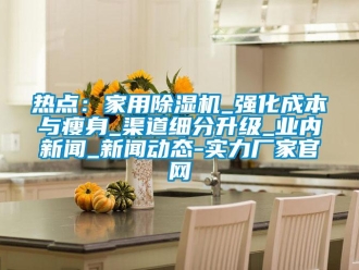 行業新聞熱點：家用除濕機_強化成本與瘦身_渠道細分升級_業內新聞_新聞動態-實力廠家官網