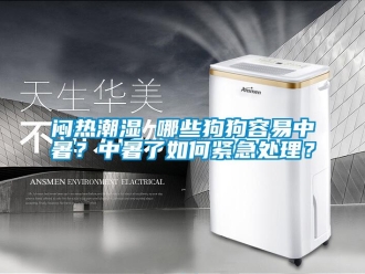 常見問題悶熱潮濕 哪些狗狗容易中暑？中暑了如何緊急處理？