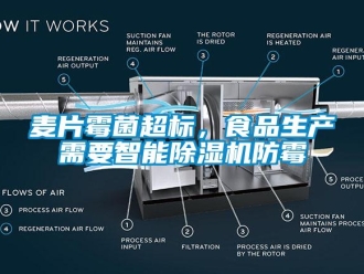 行業新聞麥片霉菌超標，食品生產需要智能除濕機防霉