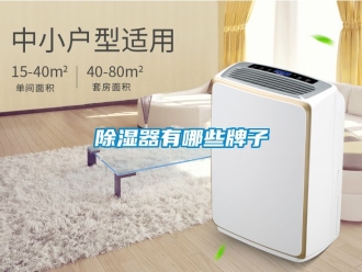 行業(yè)新聞除濕器有哪些牌子