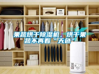 行業(yè)新聞果蔬烘干除濕機，烘干果蔬不再看“天色”