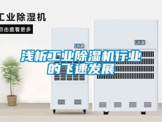 行業新聞淺析工業除濕機行業的飛速發展