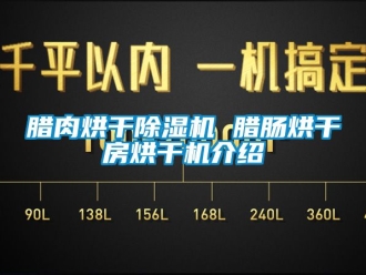 行業新聞臘肉烘干除濕機 臘腸烘干房烘干機介紹