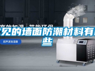 企業(yè)新聞常見(jiàn)的墻面防潮材料有哪些