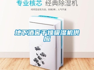 企業新聞地下酒窖干燥吸濕機供應