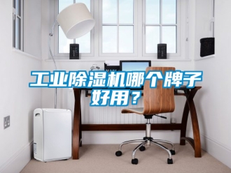 常見問題工業除濕機哪個牌子好用？