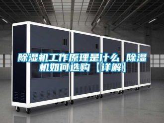 行業新聞除濕機工作原理是什么 除濕機如何選購【詳解】