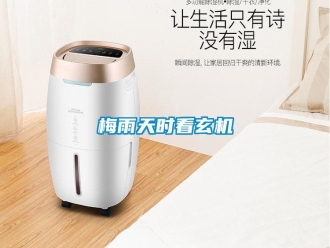 行業新聞梅雨天時看玄機