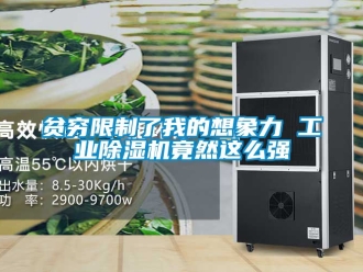 常見問題貧窮限制了我的想象力 工業除濕機竟然這么強
