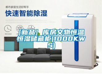 常見問題[新品] 庫房文物恒溫恒濕儲藏柜(1000KWS)