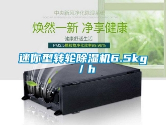 行業(yè)新聞迷你型轉(zhuǎn)輪除濕機(jī)6.5kg／h