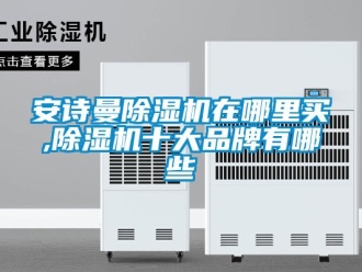 企業新聞安詩曼除濕機在哪里買,除濕機十大品牌有哪些