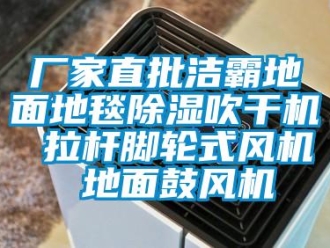 企業(yè)新聞廠家直批潔霸地面地毯除濕吹干機(jī) 拉桿腳輪式風(fēng)機(jī) 地面鼓風(fēng)機(jī)