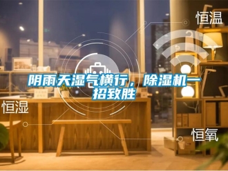 知識百科陰雨天濕氣橫行，除濕機一招致勝