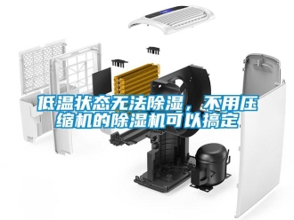 行業新聞低溫狀態無法除濕，不用壓縮機的除濕機可以搞定