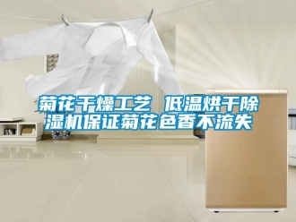 行業新聞菊花干燥工藝 低溫烘干除濕機保證菊花色香不流失