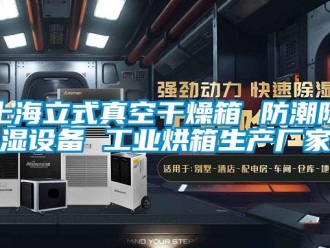 常見問題上海立式真空干燥箱 防潮除濕設(shè)備 工業(yè)烘箱生產(chǎn)廠家