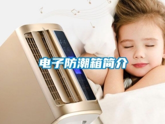 常見問題電子防潮箱簡介
