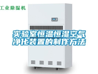 知識百科實驗室恒溫恒濕空氣凈化裝置的制作方法