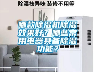 行業新聞哪款除濕機除濕效果好？哪些常用電器具備除濕功能？