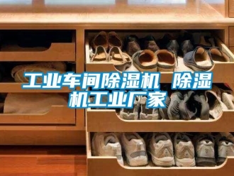 企業新聞工業車間除濕機 除濕機工業廠家