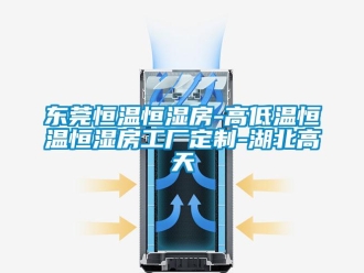 知識百科東莞恒溫恒濕房-高低溫恒溫恒濕房工廠定制-湖北高天