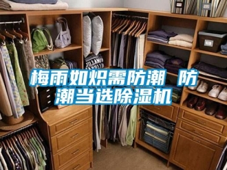 行業新聞梅雨如熾需防潮 防潮當選除濕機
