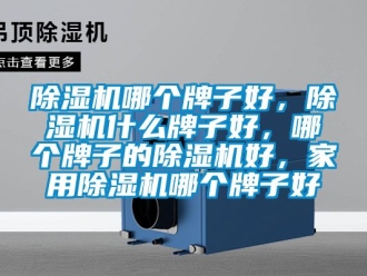 常見問題除濕機(jī)哪個牌子好，除濕機(jī)什么牌子好，哪個牌子的除濕機(jī)好，家用除濕機(jī)哪個牌子好