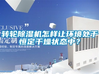 常見問題轉(zhuǎn)輪除濕機(jī)怎樣讓環(huán)境處于恒定干燥狀態(tài)中？
