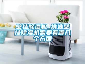 企業新聞壁掛除濕機_挑選壁掛除濕機需要看哪幾個方面