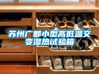 常見(jiàn)問(wèn)題蘇州廣郡小型高低溫交變濕熱試驗(yàn)箱