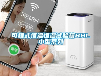 知識百科可程式恒溫恒濕試驗箱BHL小型系列