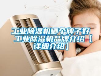 常見問題工業除濕機哪個牌子好 工業除濕機品牌介紹【詳細介紹】
