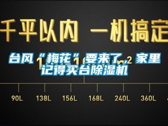 行業(yè)新聞臺風(fēng)“梅花”要來了，家里記得買臺除濕機(jī)