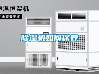 行業新聞除濕機如何保養