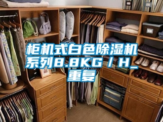 行業新聞柜機式白色除濕機系列8.8KG／H_重復