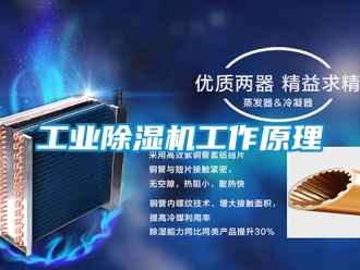 常見問題工業除濕機工作原理