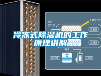 行業新聞冷凍式除濕機的工作原理講解