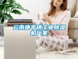 企業(yè)新聞云南康平鎮(zhèn)工業(yè)除濕機(jī)廠家