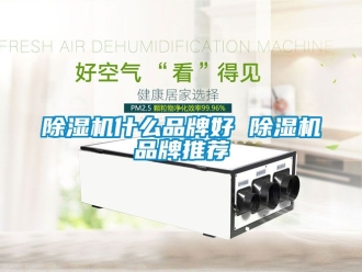 企業新聞除濕機什么品牌好 除濕機品牌推薦