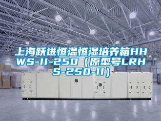 知識百科上海躍進恒溫恒濕培養箱HHWS-II-250（原型號LRHS-250-II）