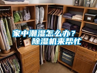 行業新聞家中潮濕怎么辦？    除濕機來幫忙