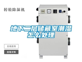 企業(yè)新聞地下二層儲藏室潮濕怎么處理