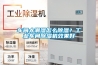 車間太潮濕怎么除濕？工業車間除濕機效果好